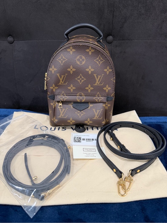 Louis Vuitton Handbags - Louis Vuitton Palm Springs Mini Monogram
